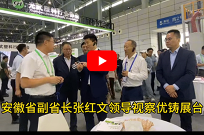 YouZu injection molding machine | Vice Governor Zhang Hongwen of Anhui Province inspects our booth